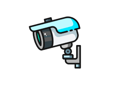 Surveillance Cameras